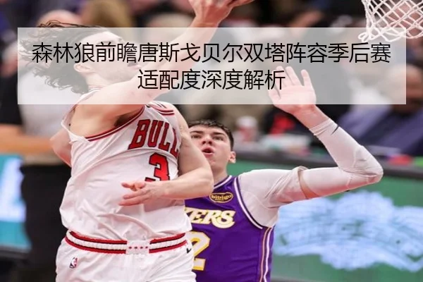 森林狼前瞻唐斯戈贝尔双塔阵容季后赛适配度深度解析